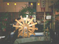 Arirang Restaurant picture
