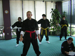 Niget tai chi test picture