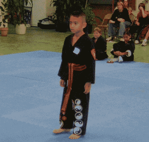 Kung Fu Tournament picture