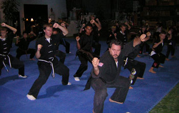 Brown and Black belt test picture