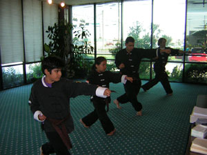 Brown & Black belt test picture